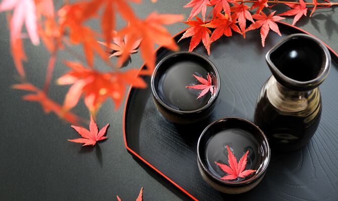 酒屋4